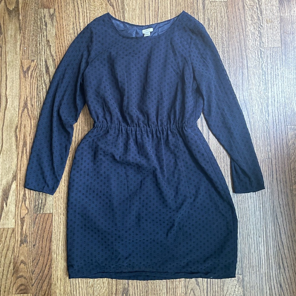 J. Crew Navy Swiss Dot Dress